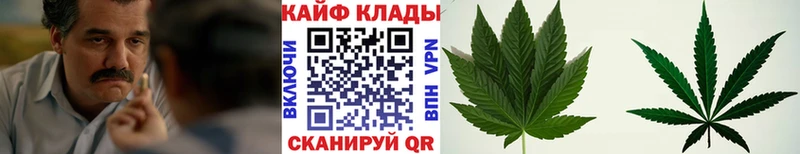 Виды наркоты Новоуральск Каннабис  Гашиш 