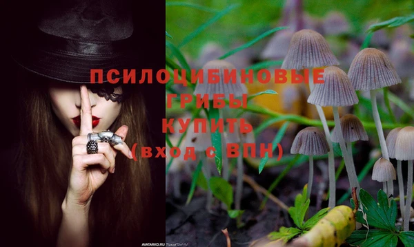 соль ск Бронницы