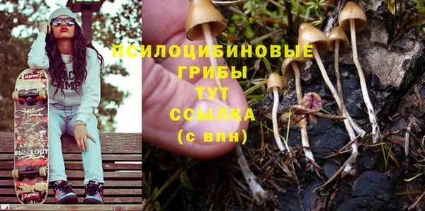 соль ск Бронницы