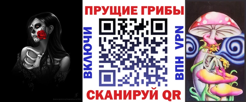 Галлюциногенные грибы Psilocybine cubensis  Новоуральск 